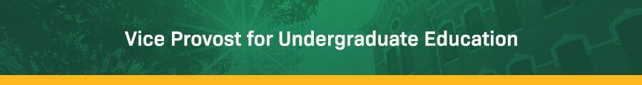 Vice Provost for Undergraduate Education