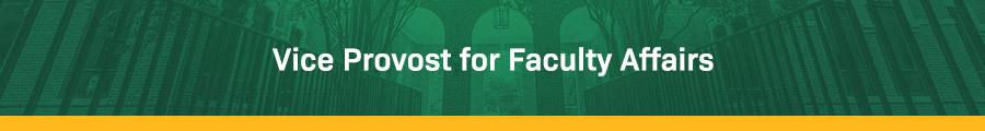 Vice Provost for Faculty Affairs