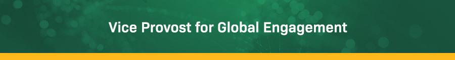 Vice Provost for Global Engagement